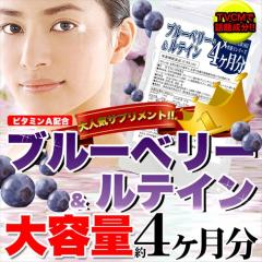 ���K���聚�u���[�x���[�����e�C���T�v����4������/�T�v��/�������������[����/�����s��