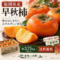 ���H�` �������イ���� ��3.75kg  �������Y �󂠂� �ƒ�p �k���ȉʓ��ƖL�x�ȉʏ`�I�����i��̊��S�Ê`