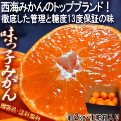 q C݂ 2kg 茧Y Ki JAȂC x13xۏ؁E_w̃MtgIgbvuh̍t[c