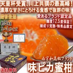 �Y�n���� ���s�J���� ���㊮�n�݂��� ��5kg S�`L�T�C�Y ���Q���Y �����K�i�E���G�i JA�ɂ����� �V�c�t��܂̐�㋤��ւ�g�b�v�u����