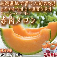 �ԓ������� ��4�`5kg 2�`6�� ��錧���S �󂠂�i �Y�n���I  �N�C���V�[������ ���s�A���b�h �}���A�\�W������ �Y�n������ ���{�S�����