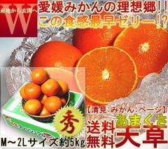 �Y�n���� �V���I�����W ���Q���Y ���܂��� 5kg �G�i �����p�K�i �Y�� �����^���S�[�� ���Ñ����݂��� �Y�n������ ���Ђߒ���