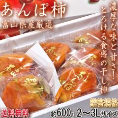 ۊ` 600g 2`3LTCY  Ki xRY MtgœKȔQ̖ƊÂIZȖɂƂƂH