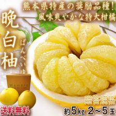 �Ӕ��M �΂�؂��� ��5kg 2�`5�� �F�{���Y �G�i �n�E�X�͔| ���k�ő勉�̑傫���Ə�i�Ȗ��킢�I�͔|�K�n�̔���ň�Ă����Y�i