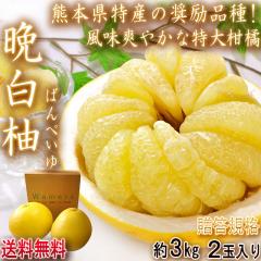 �Ӕ��M �΂�؂��� ��3kg 2�� �F�{���Y �����K�i JA����i���S ���k�ő勉�̑傫���Ə�i�Ȗ��̓��Y�i�I