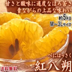 �g���� �ׂɂ͂����� ��5kg M�`3L�T�C�Y �F�{���Y ��i�ȊÂ��Ƃق�ꂳ�Ő̂Ȃ���̖��킢�I