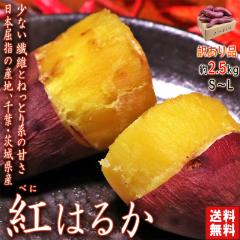 g͂邩 2.5kg tE錧Y 󂠂i ZȖƉh{Lxȏ{̖؁IÂ݈F͂ Tc}C n  