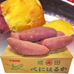 �g�͂邩 ���傳�܂��� ��10kg L�`3L�T�C�Y ��t�� ��錧�Y �����p �ƒ�p���� �Y�n������ �����Ƃ�n�̔Z���ȊÂ��̍g�͂邩