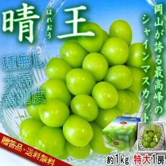 ���� �͂ꂨ�� ���I�V���C���}�X�J�b�g �햳�����Ԃǂ� ��1kg ����1�[ ���R���Y �����K�i �ō���̃M�t�g�����I�炲�ƐH�ׂ�Z���ȊÂ���