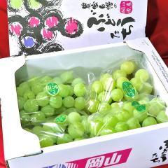 ���˃W���C�A���c ���Ԃǂ� ��2kg 3�`5�[���� ���R���Y �����K�i JA����i �炲�ƐH�ׂ鍂�������I�p�����Ƃ����H���ƊÂ������͂̃M�t�g
