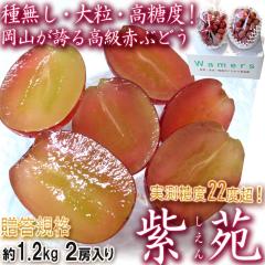   햳ԂԂǂ 1.2kg 2[ RY Ki MtgœKȍIɔQ̊ÂƖLȕ