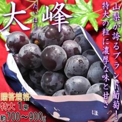��� �����Ԃǂ����I ��700g�`900g ����1�[ �R�����Y �����K�i �������w�̖��Ƒ�[�̃u�����h�����I�嗱�E�햳���E�����x�Ŕ��Q�̖�