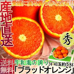 �Y�n���� �u���b�h�I�����W ��5kg �T�C�Y���� ���Q���Y �G�i �����i ������܂��̓^���b�R�� �N�₩�ȉʓ��ɖL�x�ȊÂ݂̋M�d�Ȋ��k