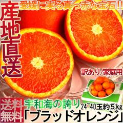 �Y�n���� �u���b�h�I�����W ��5kg �T�C�Y���� ���Q���Y �󂠂�i �ƒ�p ������܂��̓^���b�R�� �N�₩�ȉʓ��ɖL�x�ȊÂ݂̋M�d�Ȋ��k