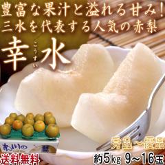 �K�� �a�� ��5kg 9�`16�� ��t���Y �����K�i ��ʒ��S �G�i�`�D�i ����E�s��E�D���ȂǎY�n���I