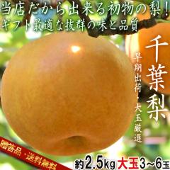 �y��ʌ��I�E�����o�ׁI�z���I��t�� �K�� ��2.5kg 3�`6�� ��t���Y �����K�i �a�� �G�`�D�i �i�V�̏o�חʑS����ʂ̐�t�ł����Ɋ�