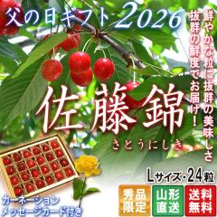 2026 ���̓��M�t�g �Y�n���� ������ �������� L�T�C�Y 24�� �R�`���Y �����i ���ϔ����� �J�[�l�[�V�����E�J�[�h����