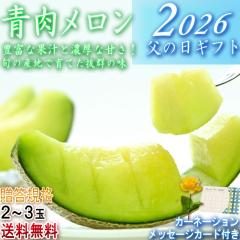 2026 ���̓��M�t�g �������� 2�`3�ʓ��� �D�`�G�i�K�i �Y�n���I �A���f�X���������S ���ϔ����� ���ԁE�J�[�h����