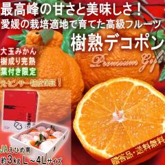 ���㊮�n�f�R�|�� �t�t���s�m�� ��3kg L�`4L�T�C�Y ���Q���Y �����K�i JA���Ђߓ� ������n���ōX�ɍ������x�Ɣ��Q�̖��I���Q����ʂ���
