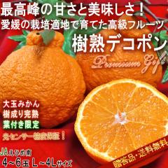���㊮�n�f�R�|�� �t�t���s�m�� ��3kg L�`4L�T�C�Y ���Q���Y �����K�i JA���Ђߓ� ������n���ōX�ɍ������x�Ɣ��Q�̖��I���Q����ʂ���