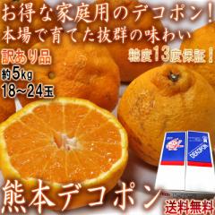 デコポン 約5kg 18〜24玉 熊本県産 訳あり品 JA共撰品 不知火みかん 糖度13度以上保証!人気の柑橘をお求めやすい価格でお届け