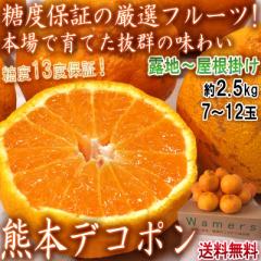 �f�R�|���F�{�Y �I�n�͔| ��2.5kg 7�ʁ`12�� �ȈՕ ���x13�x�ȏ�ۏ� ���Z���T�[�F�� �S�����ꓜ�_�i����ʉ�