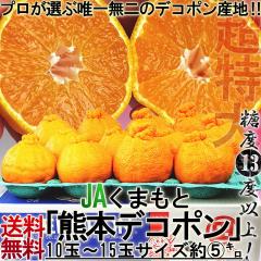 ����f�R�|�� ����ʂ� ��5kg 10�`15�� �F�{���Y �����K�i ���Z���T�[�I�ʁE���x13�x�ȏ���� �͔|�K�n�ň�Ă��{��̔�������