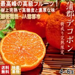 ���㊮�n ���S�f�R�|�� 4�`6�� ���m���Y �����i JA���S�s ���x13�x�ۏ؁I������n���ōX�ɔ������������t���[�c
