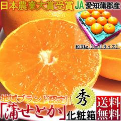 ���S���Ƃ� ��3kg L�`4L�T�C�Y �����K�i ���m���Y �����͔| ���{�_�Əܑ�܂�JA���S�s���ւ�ō���̍����t���[�c �W���[�V�[�ŔZ���Ȋ�