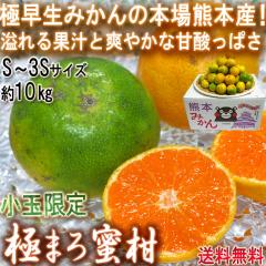 �ɂ܂떨�� �O���[�����B�݂��� ��10kg S�`3S�T�C�Y ���ʌ��� �F�{���Y �ɑ����~�J���̐��n�A�F�{�Y�I�΂̉ʎ��ɑu�₩�ȊÂ�