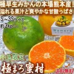 �ɂ܂떨�� �O���[�����B�݂��� ��3kg S�`3S�T�C�Y ���ʌ��� �F�{���Y �ɑ����~�J���̐��n�A�F�{�Y�I�΂̉ʎ��ɑu�₩�ȊÂ�