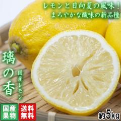 Y ̍ 5kg L`3LTCY  mY VĩO[I܂₩Ȏ_ƖLȕ