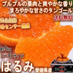 �͂�� ��5kg M�`2L�T�C�Y ���Q���Y �����K�i JA�S�_���Ђ� �v�`�v�`�̐H���ƐH�׈Ղ��I�u�₩�ȊÂ��ƕ���