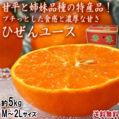 �Ђ��񃆁[�X ��5kg M�`2L�T�C�Y ���ꌧ�Y �ɂ��イ�܂�̋K�i�O�i�I�v�`���Ƃ����H���ɔZ���Ȗ��ƊÂ�