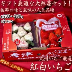 �g���������Z�b�g ���݂̂�E������΂Ȃ� ��200g�`300g�~2�p�b�N �����K�i �M�t�g�œK�ȏ{�̋�B�C�`�S�I�l�C��䕂����I