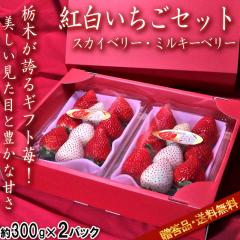 �g���������Z�b�g �X�J�C�x���[�E�~���L�[�x���[ ��300g�~2�p�b�N���� �Ȗ،��Y �����K�i �M�t�g�œK�ȐV�i���䕁I���������ɖL���ȊÂ�