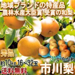 �s�엜 �K���E�L���E�����Â��E�V�� ��10kg 16�`32�� �G�i ��ʒ��S �����K�i �M�t�g�œK�ȍ����i���I�n��u�����h�̓��Y�i