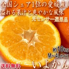 �ɗ\�� ���悩�� ��10kg M�`4L�T�C�Y ���Q���Y JA����i ���Z���T�[�I�ʂőu�₩�ȊÂ��ƖL�x�ȉʏ`�I���Y�ʃg�b�v3�̐l�C�i��