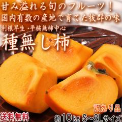 ���˂Ȃ��` ��10kg S�`2L�T�C�Y �ޗǁE�a�̎R���Y���S �󂠂�i �ÂݖL���ȏ{�̃t���[�c�I�����ȉƒ�p�̎햳���J�L