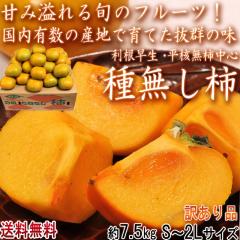 ���˂Ȃ��` ��7.5kg S�`2L�T�C�Y �ޗǁE�a�̎R���Y���S �󂠂�i �ÂݖL���ȏ{�̃t���[�c�I�����ȉƒ�p�̎햳���J�L