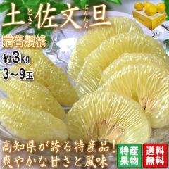 �y�����U �u���^�� �����͔| ��3kg 3�`9�� ���m���Y ���ϔ����� �M�t�g�œK�ȓ��Y�i�̃t���[�c�I�u�₩�ȊÂ��ƖL���ȕ���