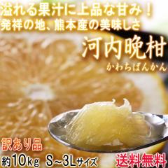 �͓��ӊ� ���킿�΂񂩂� �󂠂�i ��10kg �F�{���Y �L�x�ȉʏ`�Ə�i�ȊÂ��̘a���O���[�v�t���[�c�I