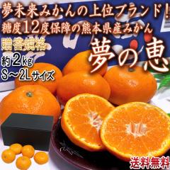 ̌b B݂ 2kg S`2LTCY F{Y Ki ZT[Iʃ~JIx12xۏ