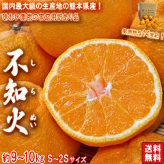 �s�m�΂݂��� ����ʂ� ���ʌ��� ��9�`10kg 2S�`S�T�C�Y �F�{���E�l�_�ƎY �󂠂�i �������x14�x�̔Z���ȊÂ��I�f�R�|���Ɠ���i���