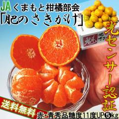 ��̂������� �������݂��� ��5kg S�`2L�T�C�Y �F�{���Y JA����i ���x11�x�ۏ؂̋ɑ����~�J���I�{�̑u�₩�ȊÂ��ƕ���