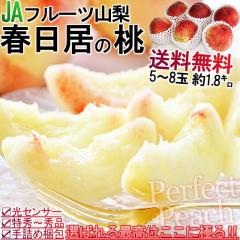 �t�����̓� �R�� 1.8kg 5�`8�� ���� ���� ���� ���P �M�t�g ���� �G�i ���͔��P�@����┒�� ��Ԕ����@�������� �쒆�������@�Ȃ����@