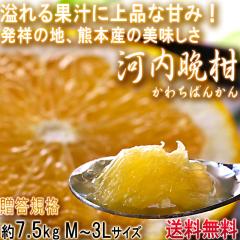 �͓��ӊ� ���킿�΂񂩂� ��7.5kg �F�{���Y �����K�i JA����i �G�i�`�D�i �L�x�ȉʏ`�Ə�i�ȊÂ��̘a���O���[�v�t���[�c�I
