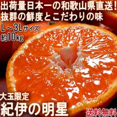 �Y�n���� �I�ɂ̖��� ���B�݂��� ��10kg L�`3L�T�C�Y �a�̎R���Y ��ʌ��� �����̏o�חʓ��{��I�a�̎R�ň�Ă����Q�̑N�x�Ɩ��킢