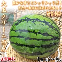 ��ʃN���[���X�C�J ��7�`9kg 1�� ��t���Y �����K�i �󏭕i�� ���c�E�x�����n�߂Ƃ������Q�̖��ƃV�����V�������I ����ē͂������̕ԕi