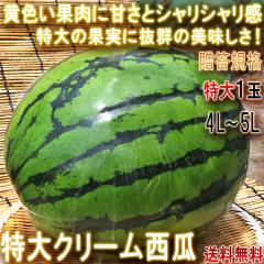 ����N���[���X�C�J 4L�`5L ����1�ʓ��� ��t���Y �����K�i �󏭕i�� ���c�E�x�����n�߂Ƃ������{���w�̐��Z�Y�n�ň�Ă����Q�̖��ƃV��